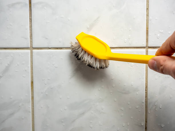Best DIY Mold Remediation Support Services in Belleair Beach, FL