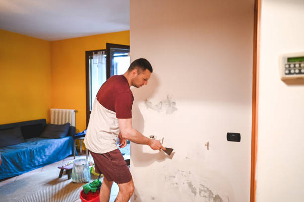 Best Attic Mold Remediation in Belleair Beach, FL